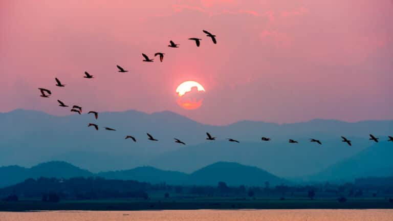 cloud reverse migration: Why companies move away from the cloud